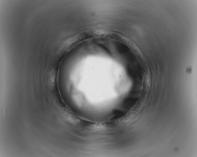 X0000096130668200802011149