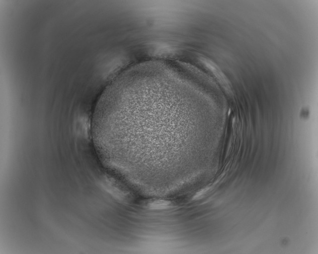X0000096130669200802011149