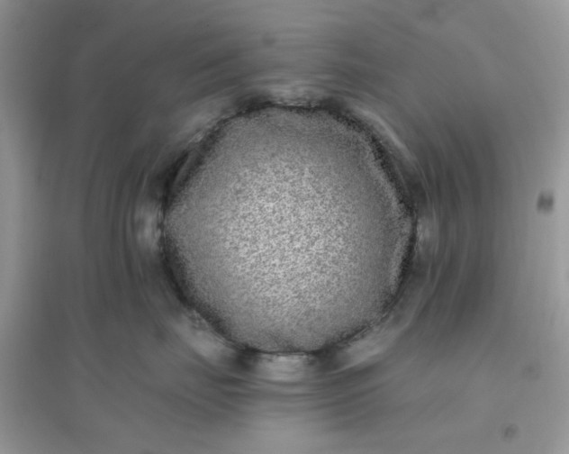 X0000096130671200802011149