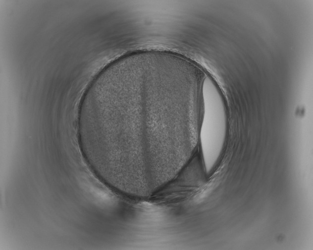 X0000096130673200802011149