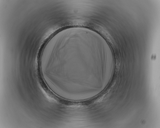 X0000096130674200802011149