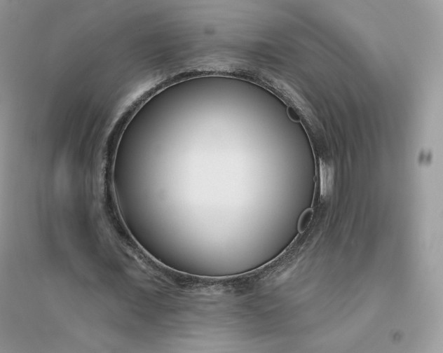 X0000096130675200802011149