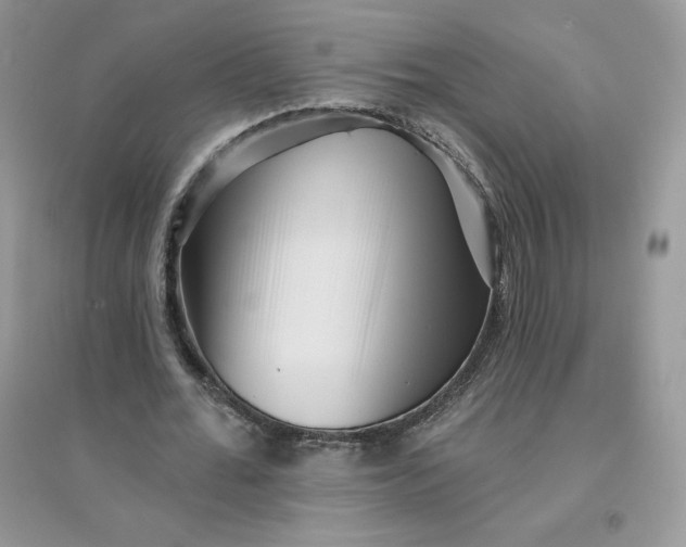 X0000096130676200802011149
