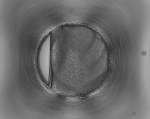 X0000096130677200802011149