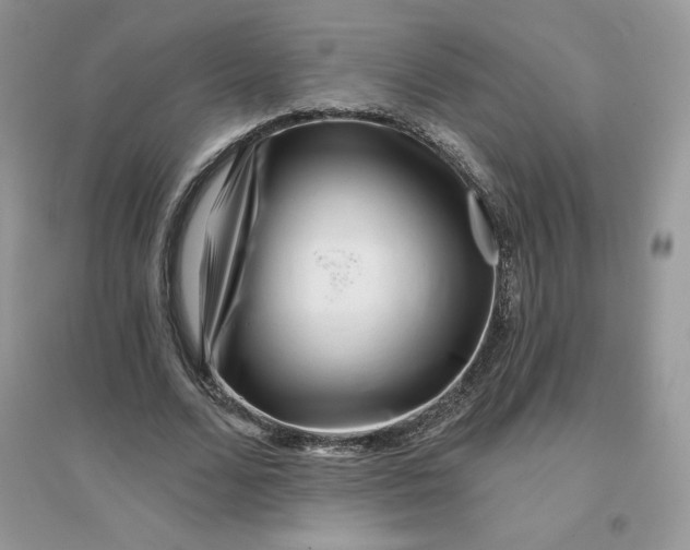 X0000096130680200802011149