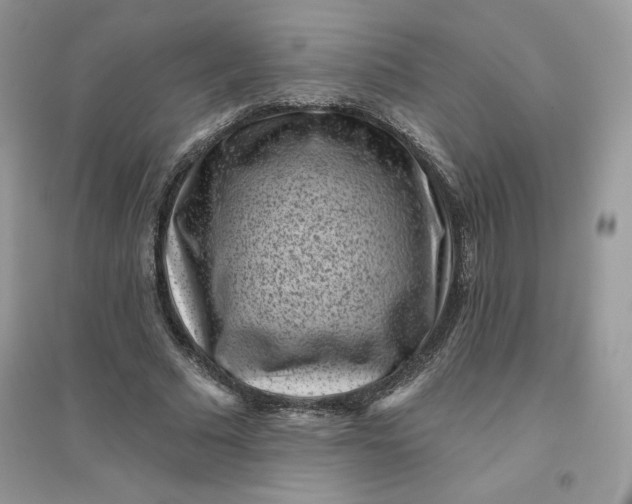 X0000096130681200802011148