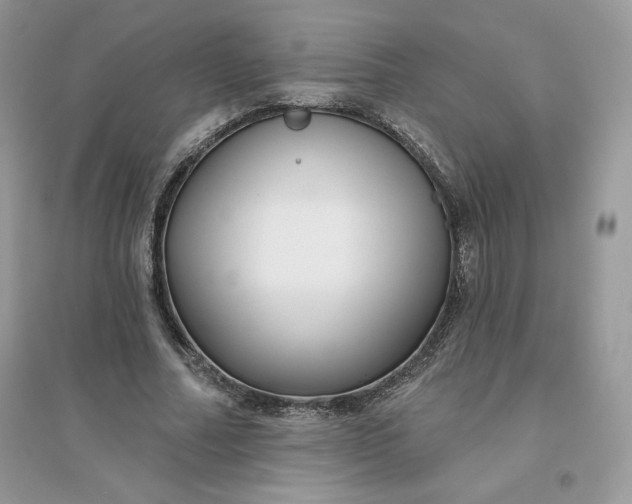 X0000096130682200802011148
