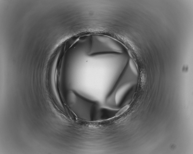 X0000096130684200802011148