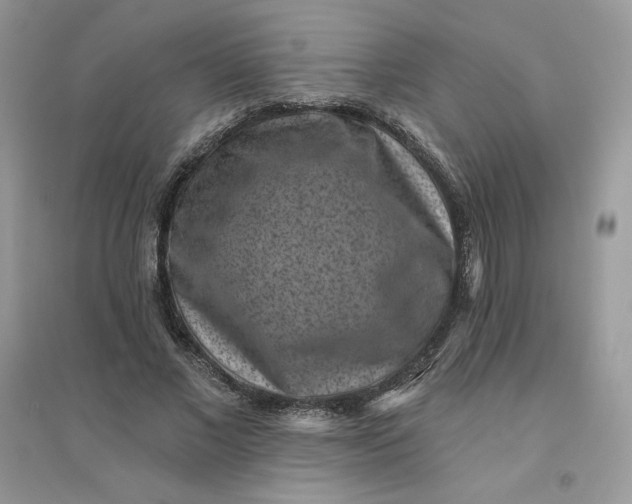 X0000096130685200802011148