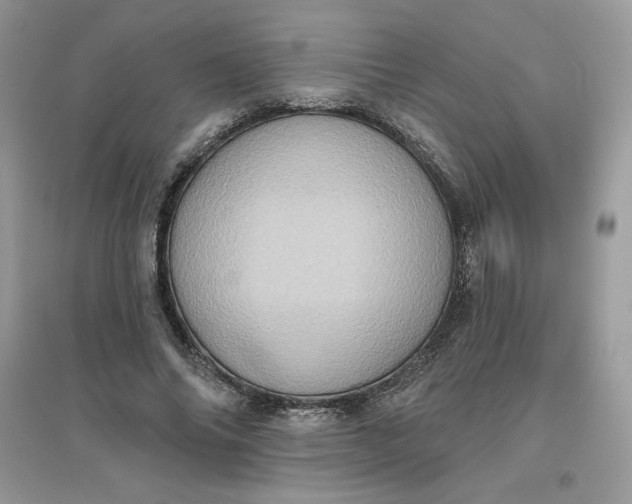 X0000096130686200802011148