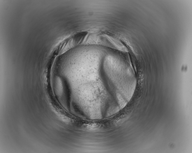 X0000096130688200802011148