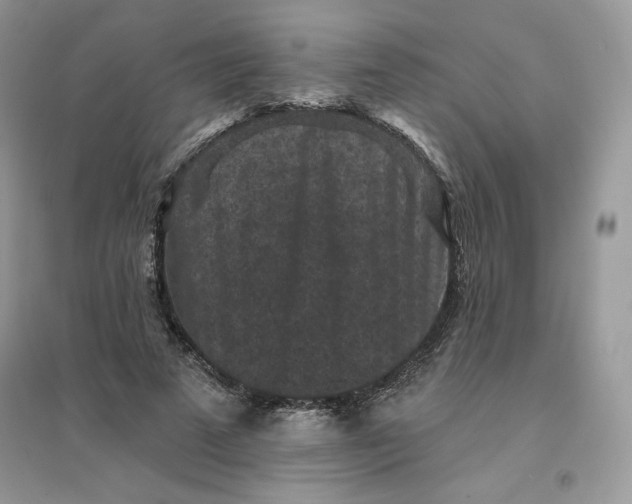 X0000096130689200802011148