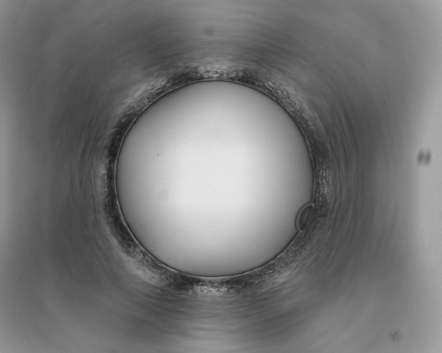 X0000096130690200802011148