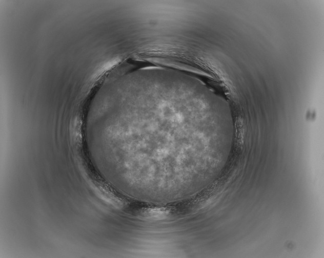 X0000096130692200802011148