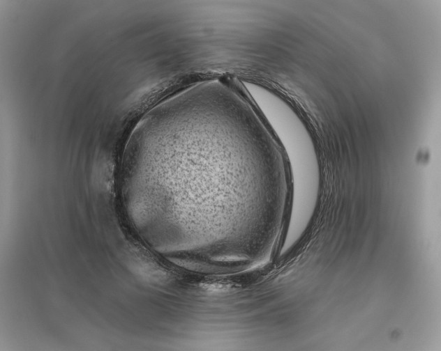 X0000096130693200802011148