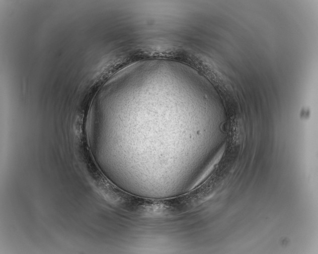 X0000096130695200802011148