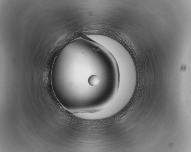 X0000096130697200802011148