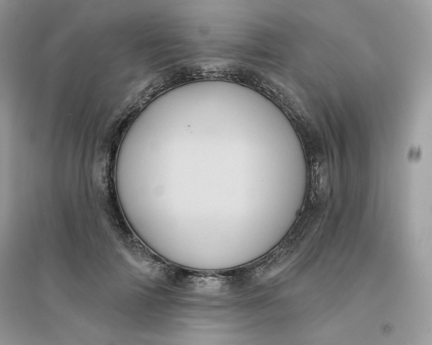 X0000096130698200802011148