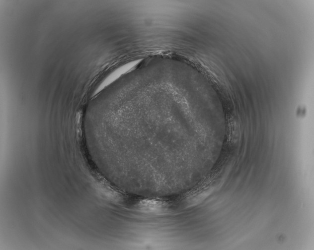 X0000096130699200802011148