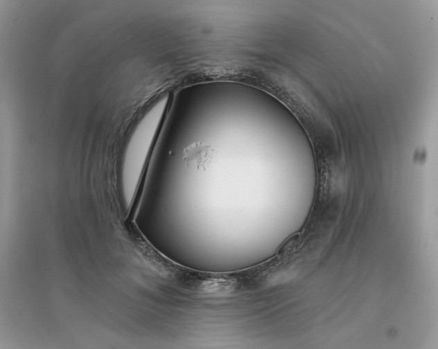 X0000096130700200802011148