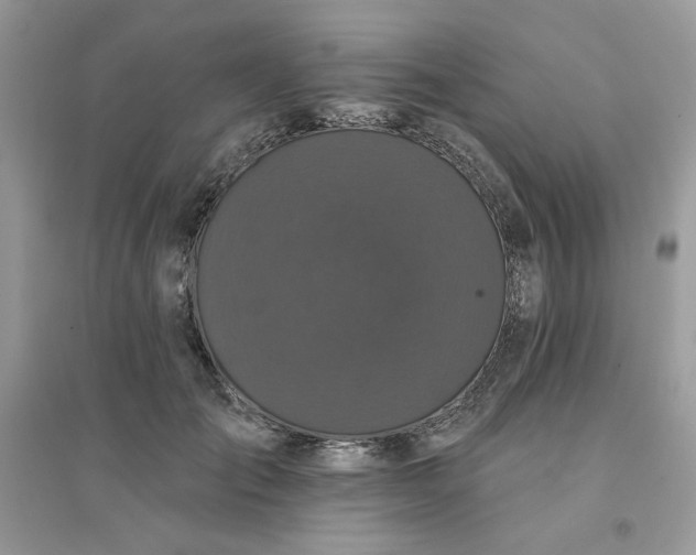 X0000096130701200802011148