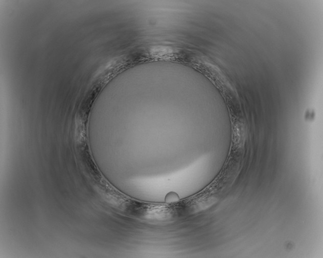 X0000096130705200802011148