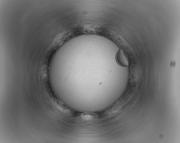 X0000096130706200802011148