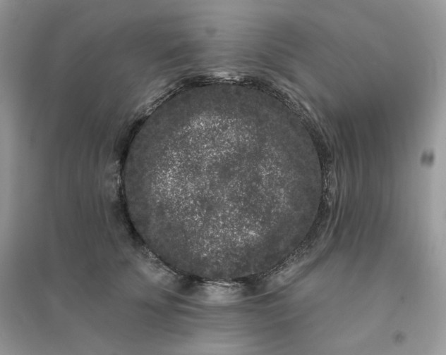 X0000096130707200802011148
