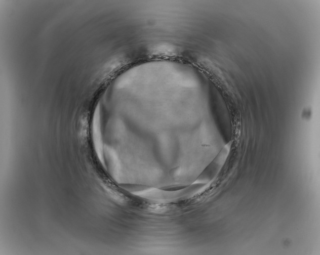 X0000096130708200802011148