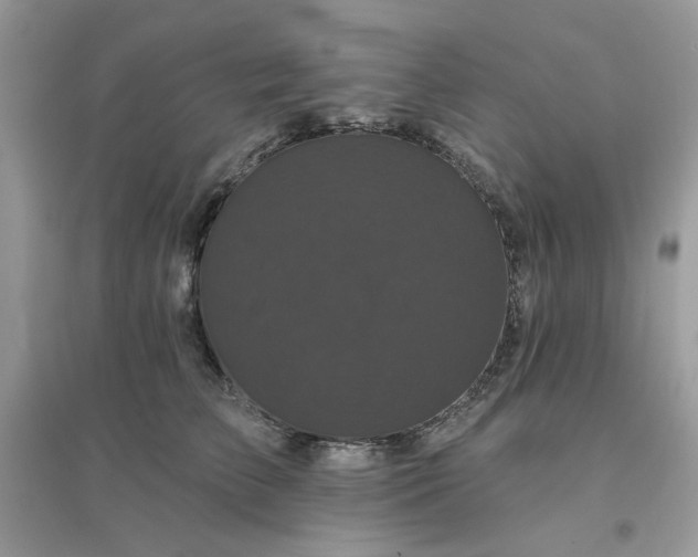 X0000096130709200802011148