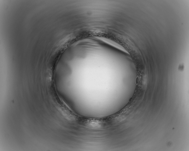 X0000096130710200802011148