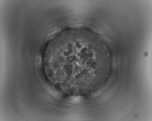 X0000096130711200802011148