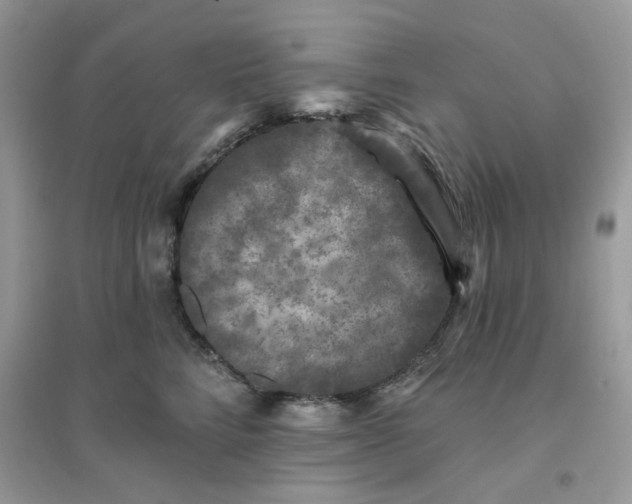 X0000096130712200802011148