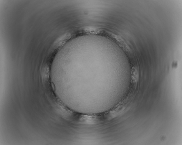 X0000096130713200802011148