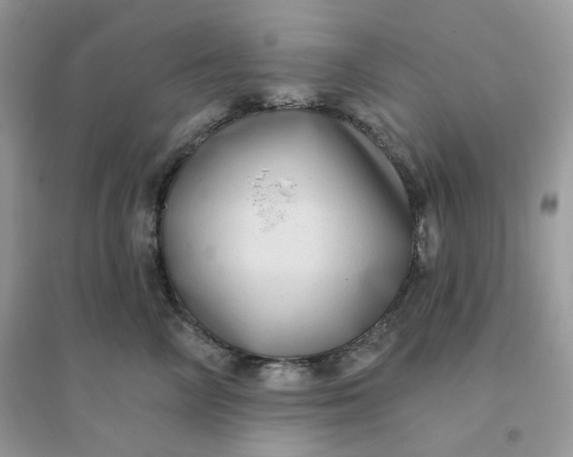 X0000096130714200802011148