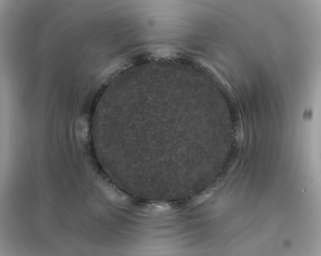 X0000096130715200802011148