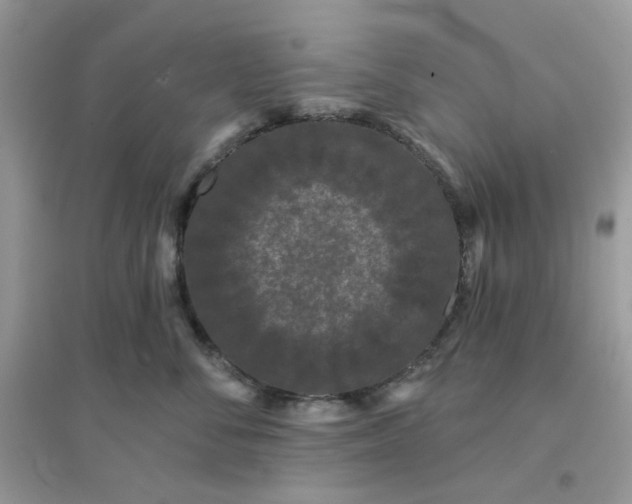 X0000096130716200802011148