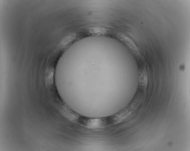 X0000096130717200802011148