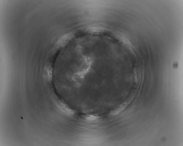 X0000096130718200802011148