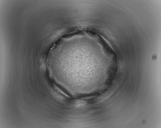 X0000096130719200802011148