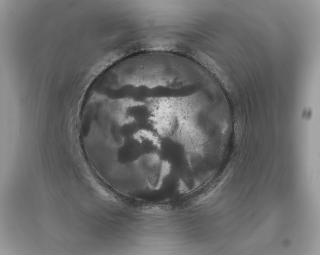 X0000096130721200802011147
