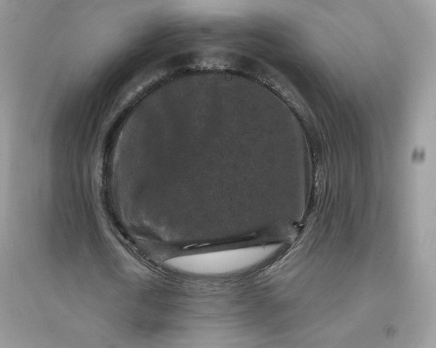 X0000096130722200802011147