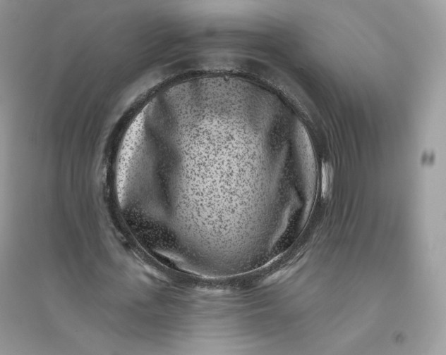 X0000096130723200802011147