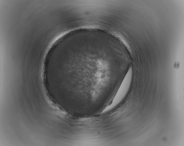 X0000096130724200802011147
