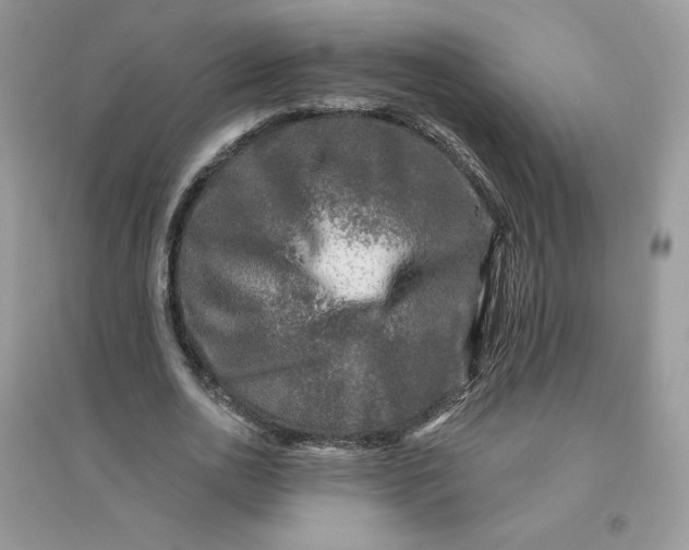 X0000096130726200802011147