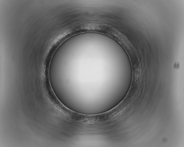 X0000096130727200802011147