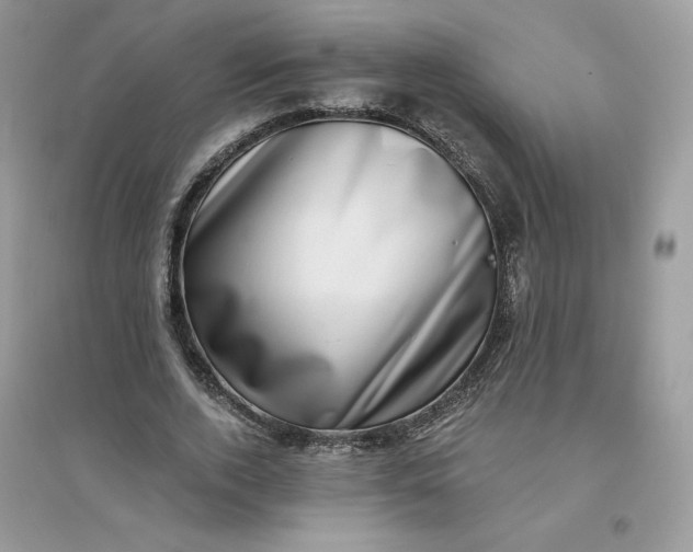 X0000096130728200802011147