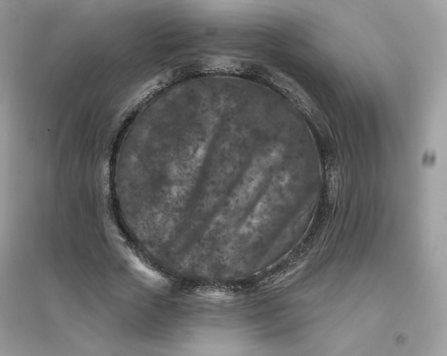 X0000096130729200802011147