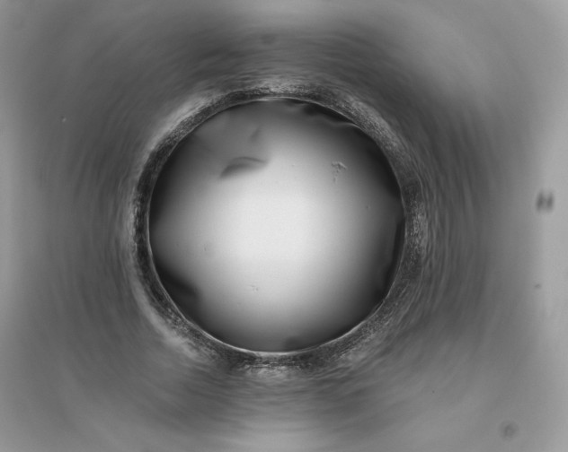 X0000096130730200802011147