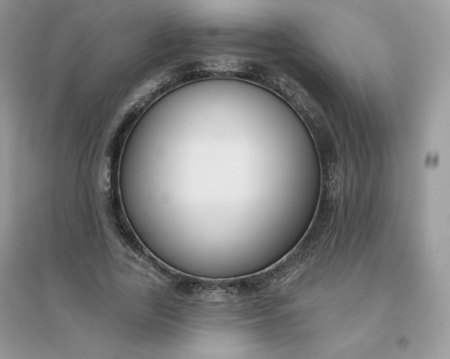 X0000096130731200802011147